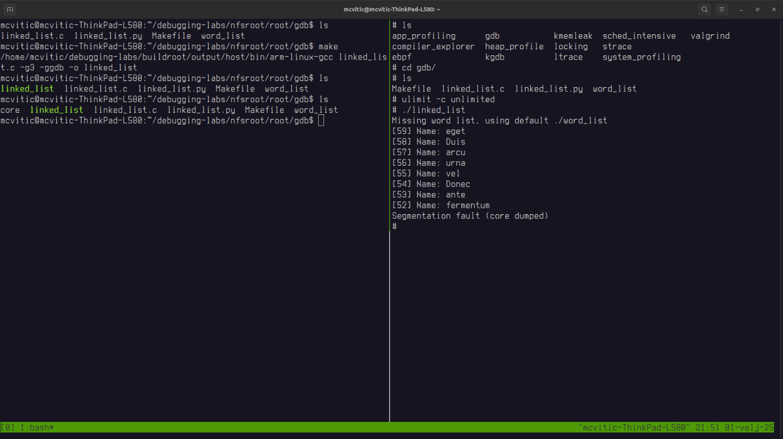 coredump setup overview coredump setup overview
