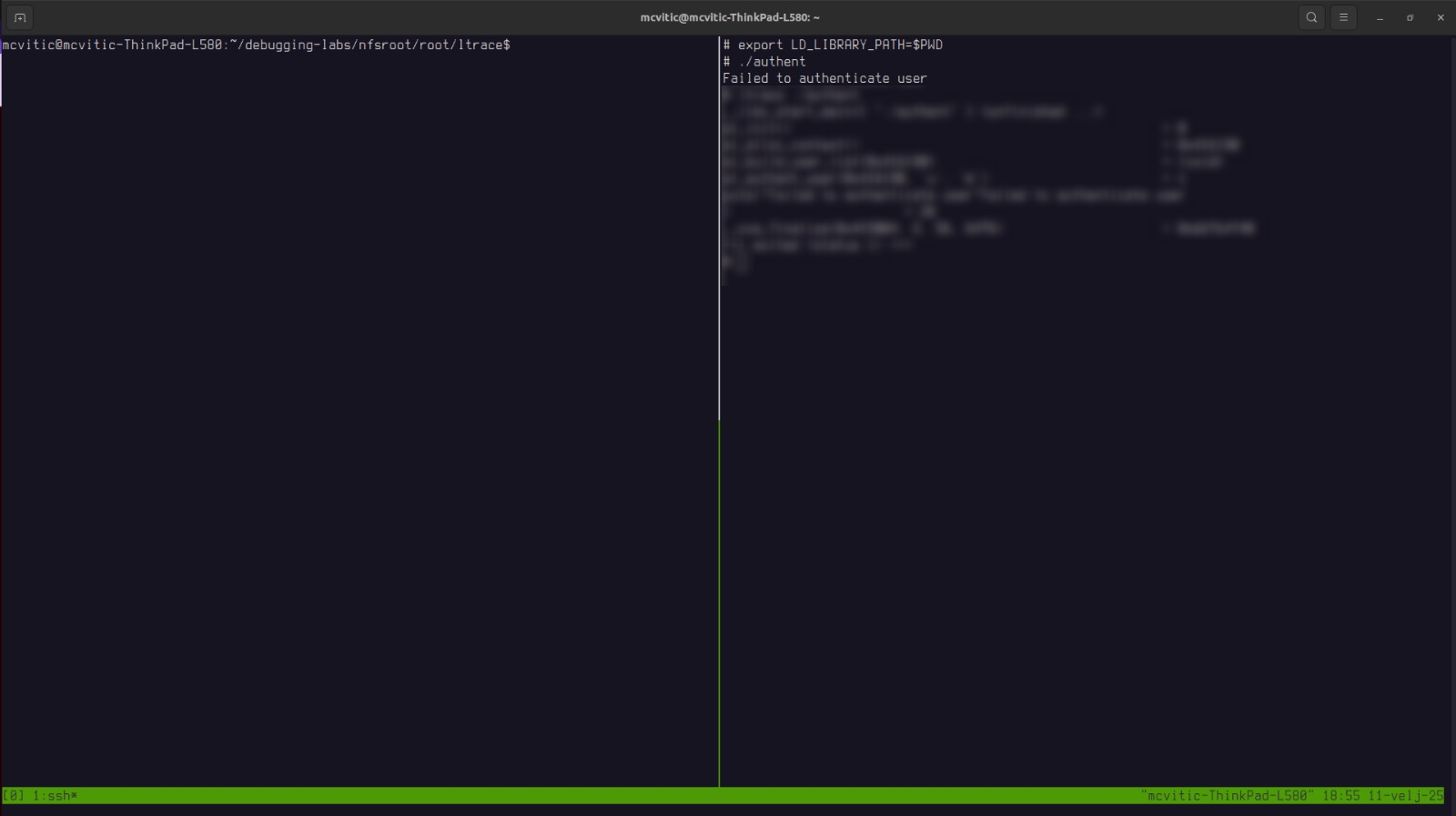 attempting to run an authentication-constrained application attempting to run an authentication-constrained application